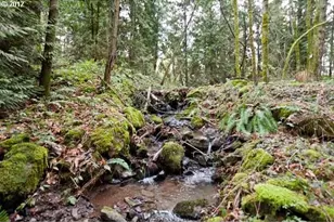 1880 SW Heiney Rd, Gresham, OR 97080 - Photo 42