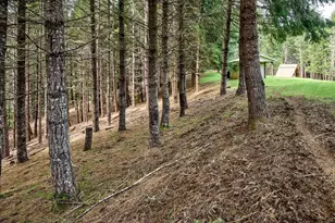 16460 NW Meadow Lake Rd, Carlton, OR 97111 - Photo 40