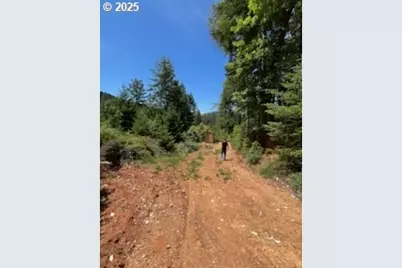 2810 Coyote Creek Rd, Wolf Creek, OR 97497 - Photo 26