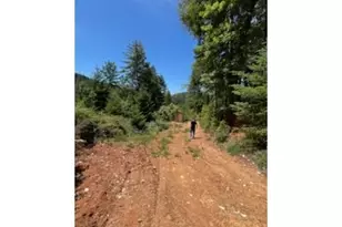 2810 Coyote Creek Rd, Wolf Creek, OR 97497 - Photo 26