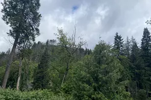 45300 Goodpasture Rd, Vida, OR 97488 - Photo 8