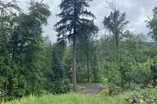 45300 Goodpasture Rd, Vida, OR 97488 - Photo 14