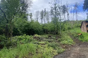 45300 Goodpasture Rd, Vida, OR 97488 - Photo 6