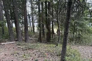 24284 Crescent Lake Hwy, Crescent Lake, OR 97733 - Photo 34