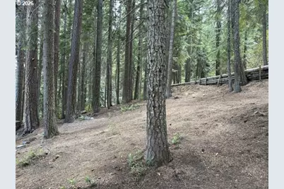 24284 Crescent Lake Hwy #38, Crescent Lake, OR 97733 - Photo 32