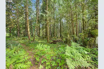 23491 E Lolo Pass Rd, Rhododendron, OR 97049 - Photo 42