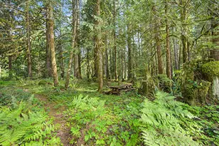 23491 E Lolo Pass Rd, Rhododendron, OR 97049 - Photo 42