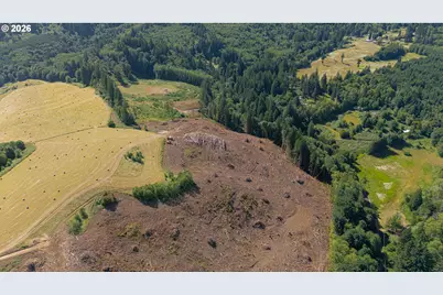 Gregory Rd, Rainier, OR 97048 - Photo 10