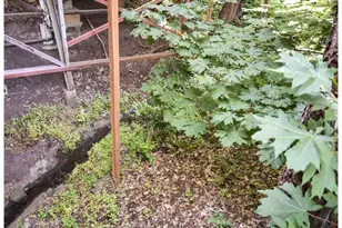 2180 W 24th Ave, Eugene, OR 97405 - Photo 4
