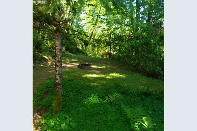 9247 Highway 126, Mapleton, OR 97453 - Photo 36