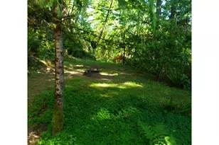 9247 Hwy 126, Mapleton, OR 97453 - Photo 36