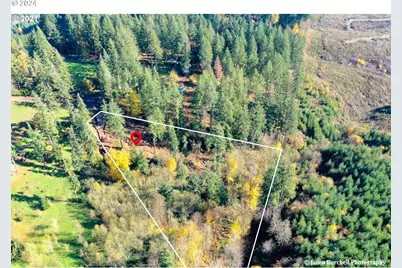 Viewcrest Dr, Warren, OR 97053 - Photo 6