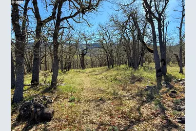 Centerville Hwy Lot3, Lyle, WA 98635 - Photo 18