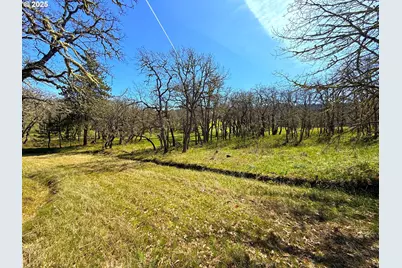 Centerville Hwy Lot3, Lyle, WA 98635 - Photo 14