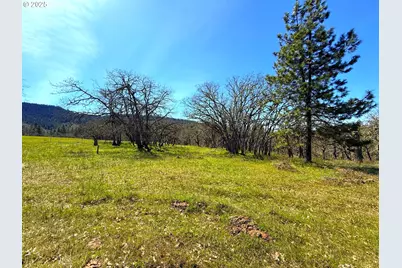Centerville Hwy Lot3, Lyle, WA 98635 - Photo 10