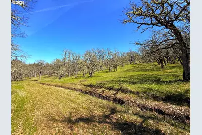 Centerville Hwy Lot3, Lyle, WA 98635 - Photo 26