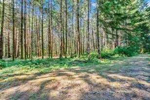 20317 Hwy 36, Blachly, OR 97412 - Photo 8