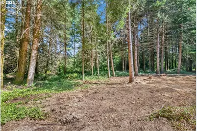 20317 Highway 36, Blachly, OR 97412 - Photo 18