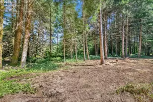 20317 Hwy 36, Blachly, OR 97412 - Photo 18