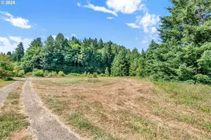 20317 Hwy 36, Blachly, OR 97412 - Photo 28