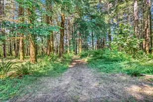 20317 Hwy 36, Blachly, OR 97412 - Photo 16