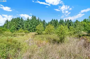 20317 Hwy 36, Blachly, OR 97412 - Photo 32