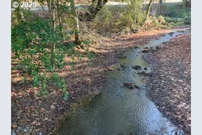 5979 Willis Creek Rd, Winston, OR 97496 - Photo 6