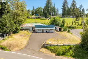 39618 NE 216th Ave, Amboy, WA 98601 - Photo 34