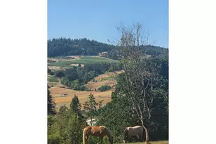 7910 SE Amity Rd, Amity, OR 97101 - Photo 34