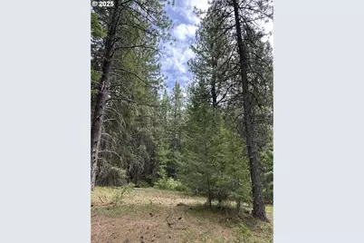 Forest Glen, Goldendale, WA 98620 - Photo 6