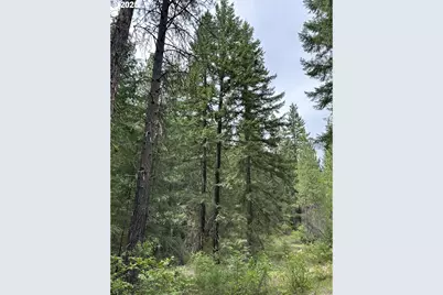 Forest Glen, Goldendale, WA 98620 - Photo 10