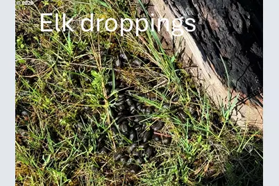 Boardman Way #5, Goldendale, WA 98620 - Photo 22