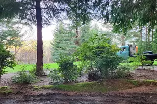 Hensley Hill Rd, Port Orford, OR 97465 - Photo 24