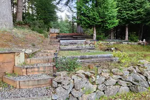 Hensley Hill Rd, Port Orford, OR 97465 - Photo 16