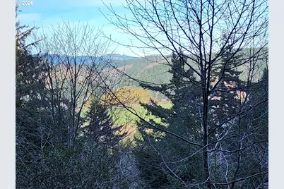 Hensley Hill Rd, Port Orford, OR 97465 - Photo 6