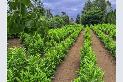 7008 SE 302nd Ave, Gresham, OR 97080 - Photo 16