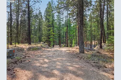 105 E Mt View Estate, Sumpter, OR 97877 - Photo 6