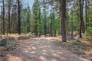 105 E Mt View Estate, Sumpter, OR 97877 - Photo 6