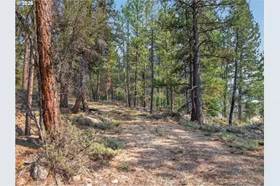 105 E Mt View Estate, Sumpter, OR 97877 - Photo 12