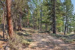 105 E Mt View Estate, Sumpter, OR 97877 - Photo 12