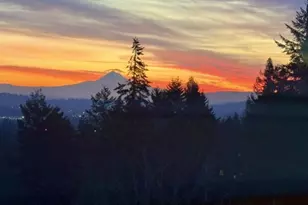 13574 SW Mint Pl, Portland, OR 97223 - Photo 40