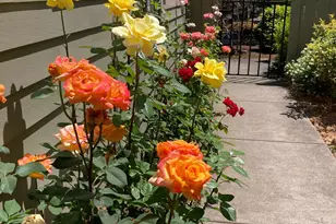 1177 Spyglass Dr, Eugene, OR 97401 - Photo 8