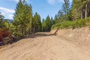 160 Wheeler Ln, Camas Valley, OR 97416 - Photo 42
