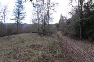 4359 Canyonville-Riddle Rd, Riddle, OR 97469 - Photo 20