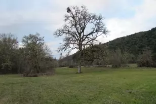 4359 Canyonville-Riddle Rd, Riddle, OR 97469 - Photo 22