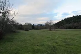 4359 Canyonville-Riddle Rd, Riddle, OR 97469 - Photo 12