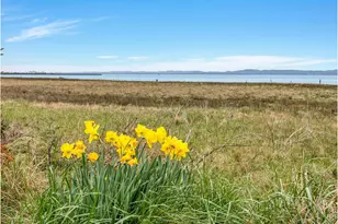 25906 Sandridge Rd, Ocean Park, WA 98640 - Photo 48