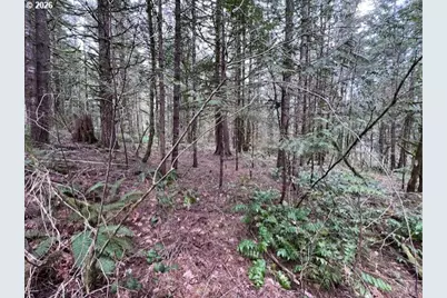 Deer Ct, Banks, OR 97106 - Photo 18