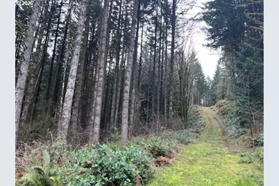 Deer Ct, Banks, OR 97106 - Photo 2