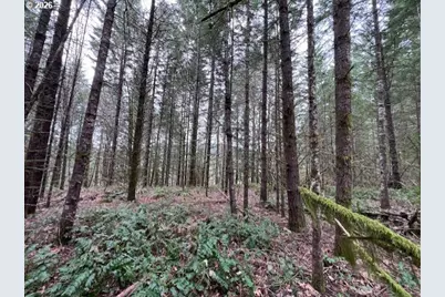 Deer Ct, Banks, OR 97106 - Photo 22